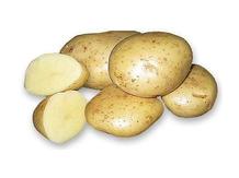 Картофель "ITC"